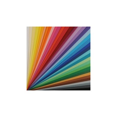 Canson CF25FF COLORLINE 50X70 220 ARANCIO