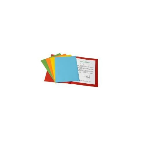 Fraschini 500 ASS cartella Multicolore A4