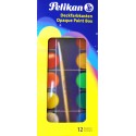 Pelikan 721324 pittura ad acqua Multi Palette 12 pezzoi