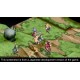 Koch Media Disgaea 1 Complete, PS4 videogioco PlayStation 4 Basic 1027828 KOM