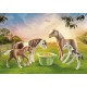 Playmobil HORSE 2PONY ICELANC PULEDRI