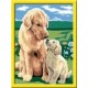 Ravensburger CREART S D RETRIEVER SUL PRATO