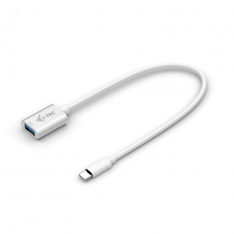i tec C31ADA cavo USB 0,2 m USB 3.2 Gen 2 3.1 Gen 2 USB C USB A Bianco