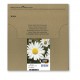 Epson Daisy Multipack Margherita 4 colori Inchiostri Claria Home 18 in confezione EasyMail Packaging C13T18064511