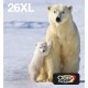 Epson Polar bear Multipack 4 colours 26XL EasyMail C13T26364511