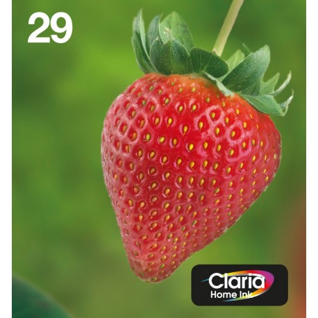 Epson Strawberry Multipack Fragole 4 colori Inchiostri Claria Home 29 in confezione EasyMail Packaging C13T29864511