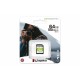 Kingston Technology Canvas Select Plus 64 GB SDXC UHS I Classe 10 SDS264GB