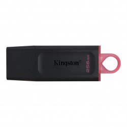 Kingston Technology DataTraveler Exodia unit flash USB 256 GB USB tipo A 3.2 Gen 1 3.1 Gen 1 Nero DTX256GB