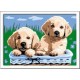 Ravensburger CREART SERIE E CANI RETRIEVER