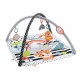 Fisher Price PALESTRINA ANIMALI 3IN1