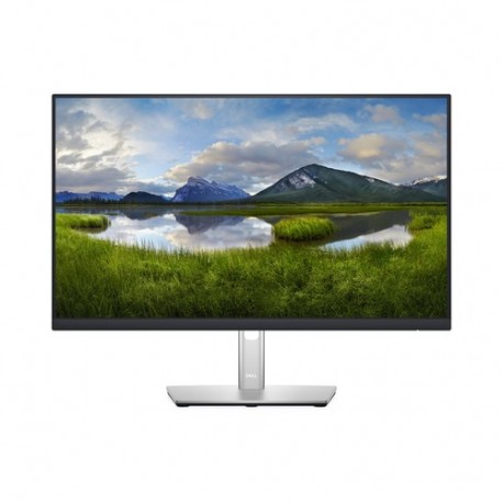 DELL P Series Monitor 24 P2422H P2422H