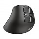 Trust Voxx mouse Mano destra RF senza fili Bluetooth Ottico 2400 DPI 23731