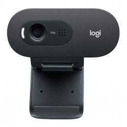 Logitech C505e webcam 1280 x 720 Pixel USB Nero 960 001372