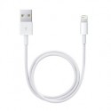 Apple Cavo da Lightning a USB 0.5 m ME291ZMA