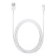 Apple Cavo da Lightning a USB 2 m MD819ZMA