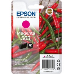 Epson 503 cartuccia dinchiostro 1 pz Originale Resa standard Magenta C13T09Q34020