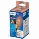 Philips LED Lampadina Smart Filament Ambrata Dimmerabile Luce Bianca da Calda a Fredda Attacco E14 25W Candela 929003017721